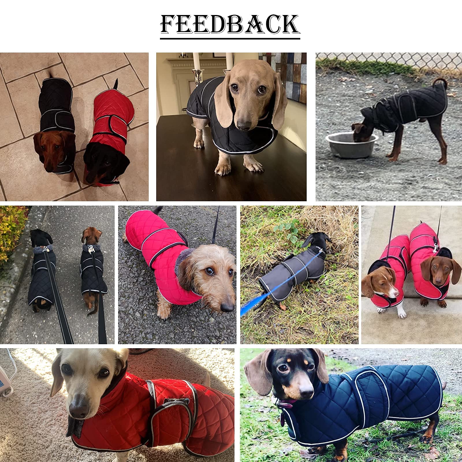 Morezi dachshund-coat acceso-arnes, compatible con arnés para salidas seguras.