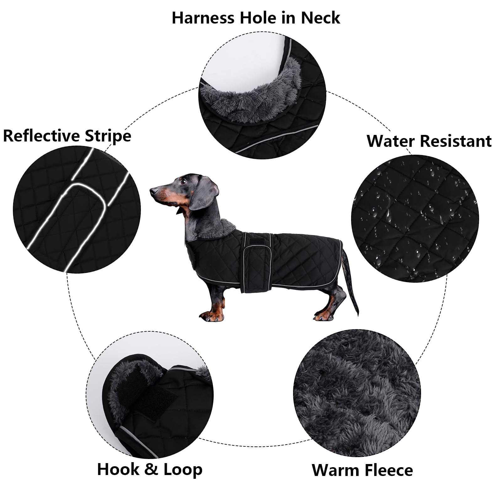 Morezi dachshund-coat forro-polar, interior cálido para paseos en clima frío.