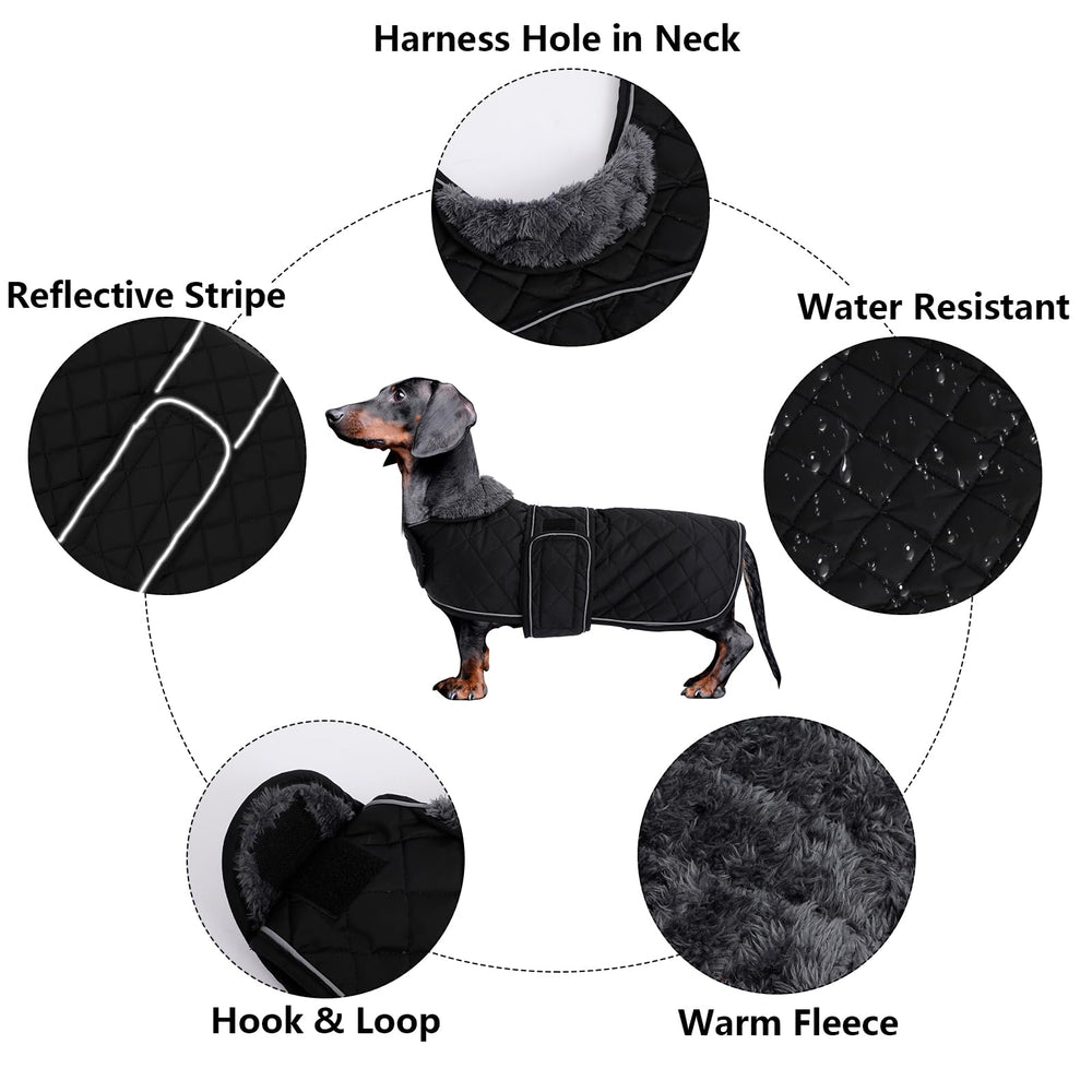Morezi dachshund-coat forro-polar, interior cálido para paseos en clima frío.