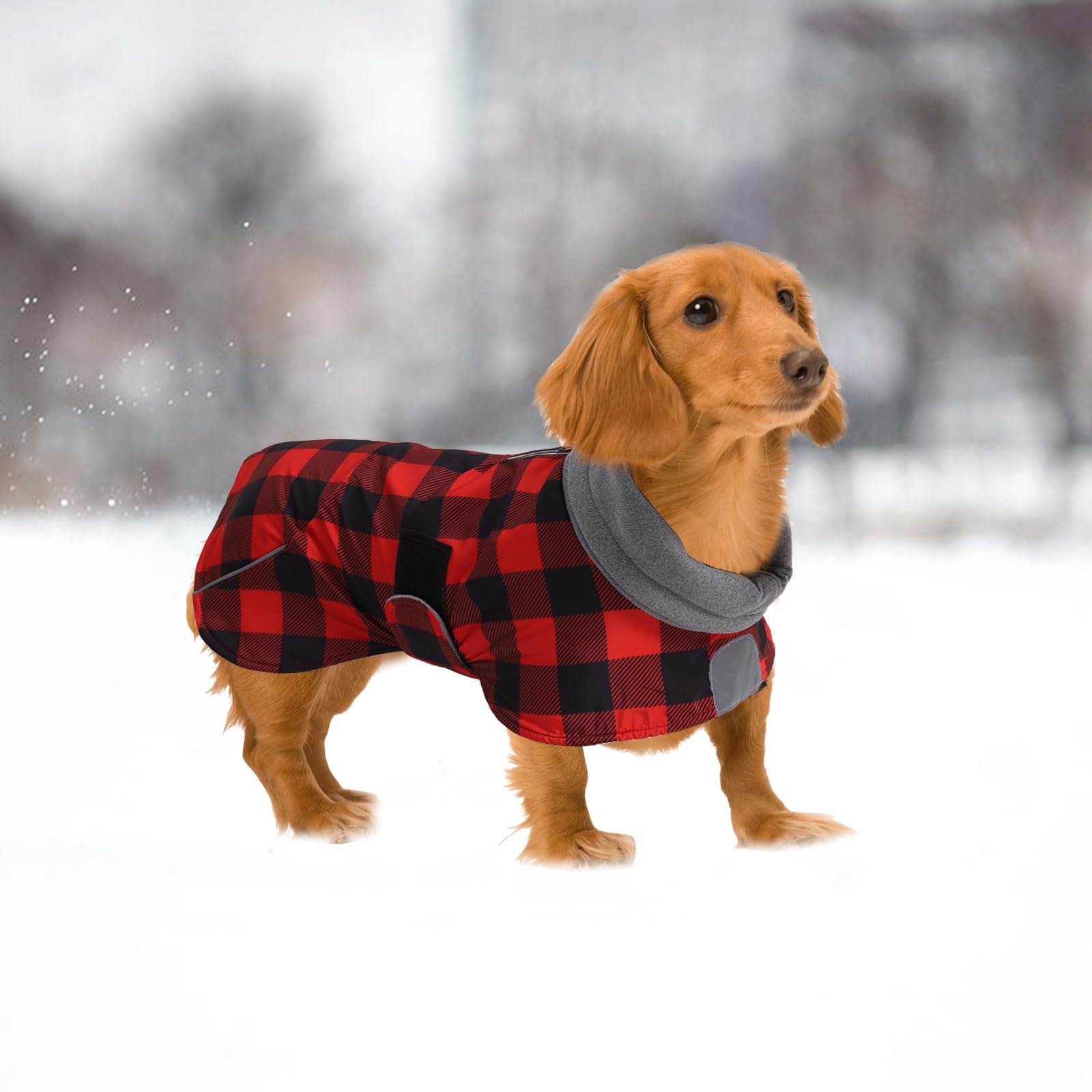 Morezi Dachshund Coat machine-washable for easy cleaning after adventures.