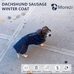 Morezi dachshund coat navy back view highlights secure fit and warmth.