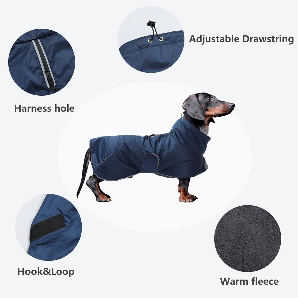 Morezi dachshund coat navy dog-walking scene with reflective trim for night safety.