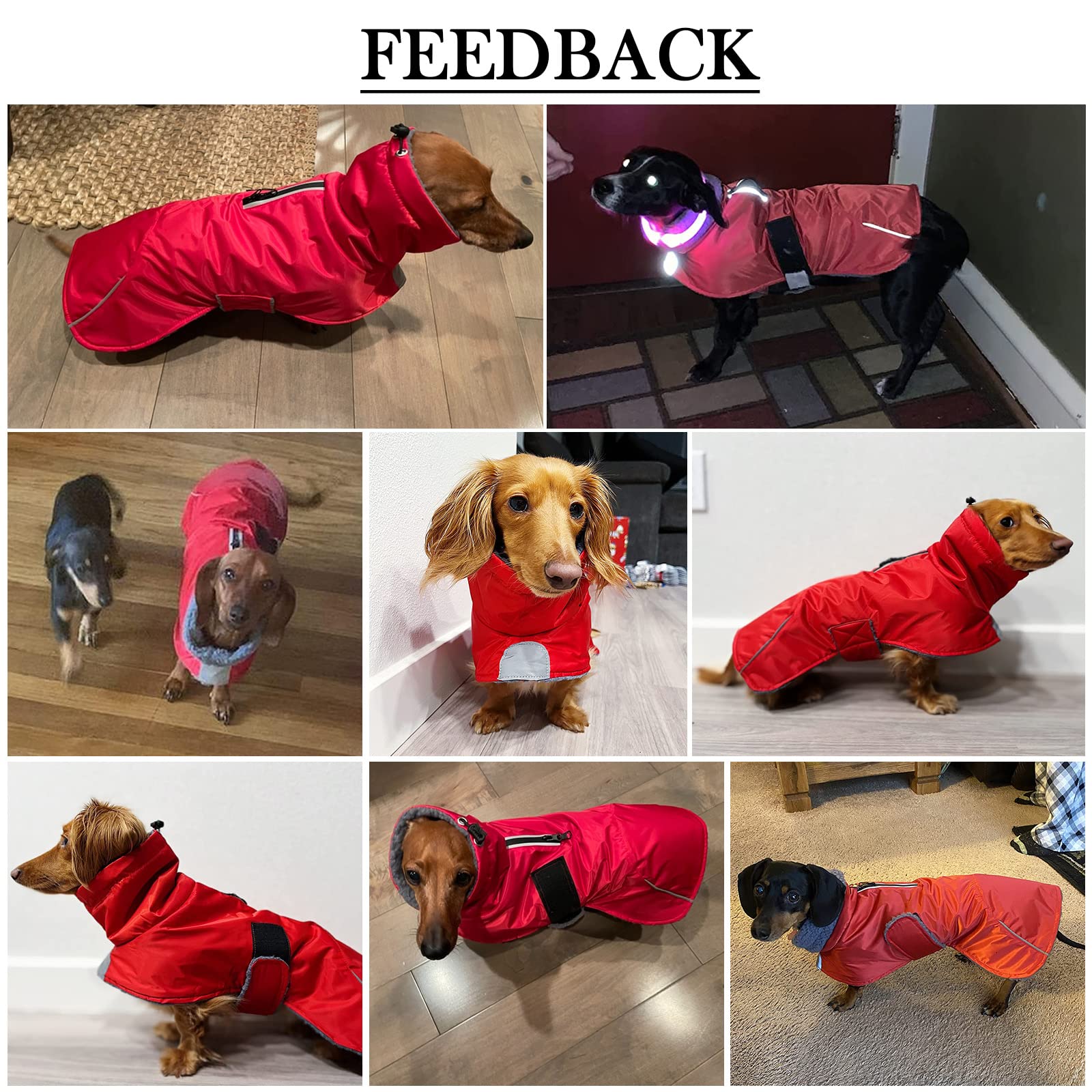 Morezi dachshund coat navy harness-hole design enables easy harness use.