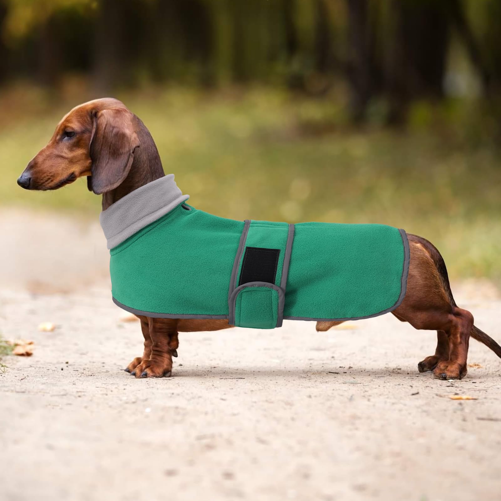 Morezi dachshund coat XS machine washable for easy care.