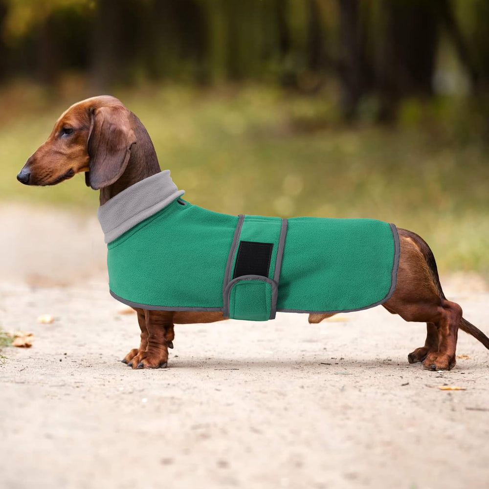 Morezi dachshund coat XS machine washable for easy care.