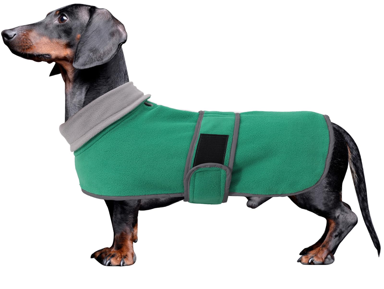 Morezi dachshund coat XS front view with windproof warmth for chilly walks.