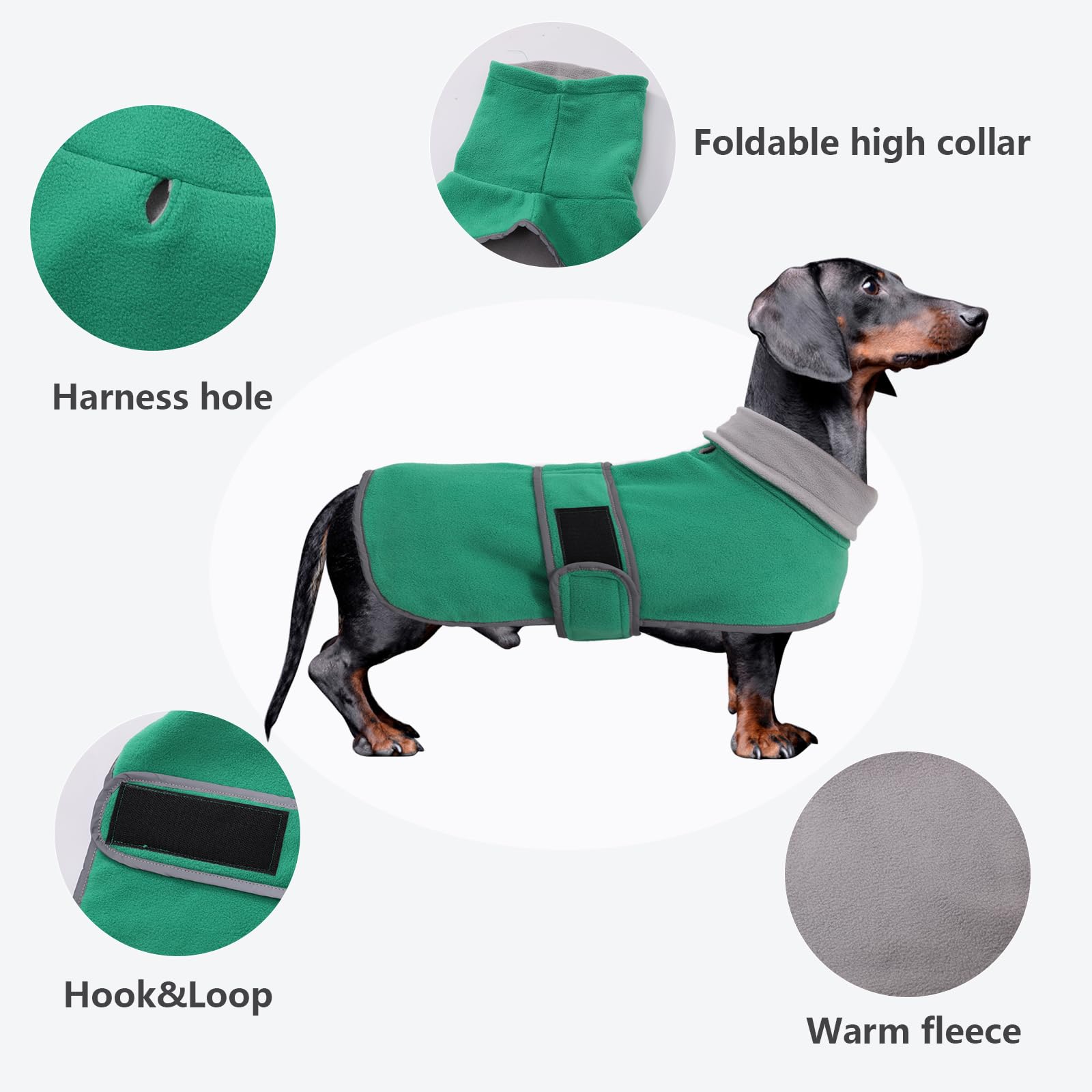 Morezi dachshund coat XS night view with reflective trim for visibility.