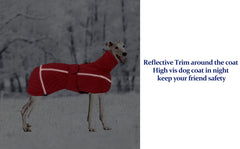 Morezi Dog Jacket with Harness Hole back view for easy harness attachment