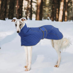Morezi Greyhound Winter Coat back view showing reflective trim for visibility.