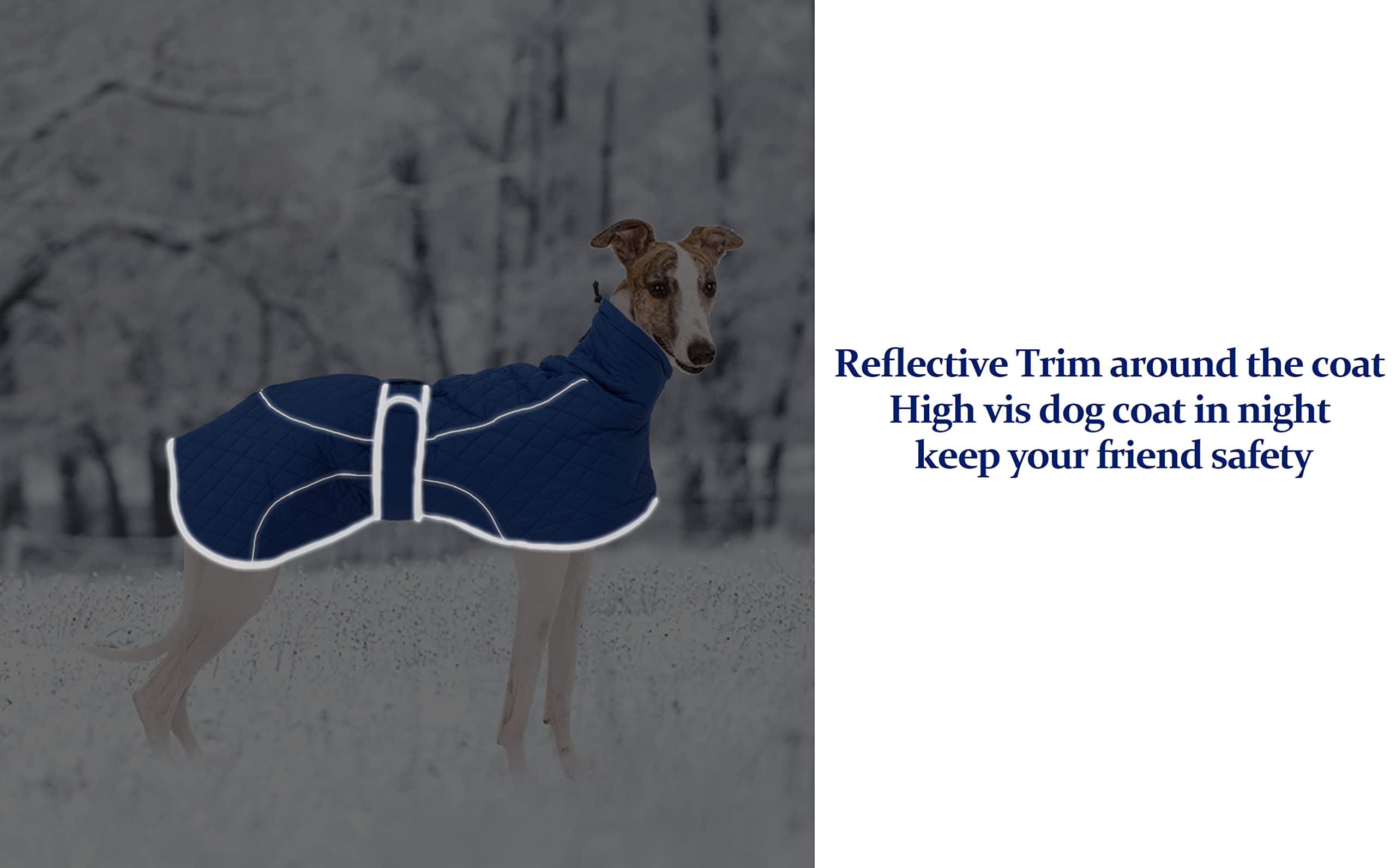 Morezi Greyhound Winter Coat with reflective trim boosts nighttime safety.