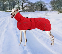 Morezi Lurcher Winter Jacket tight-fit with elastic underbelly keeps warmth