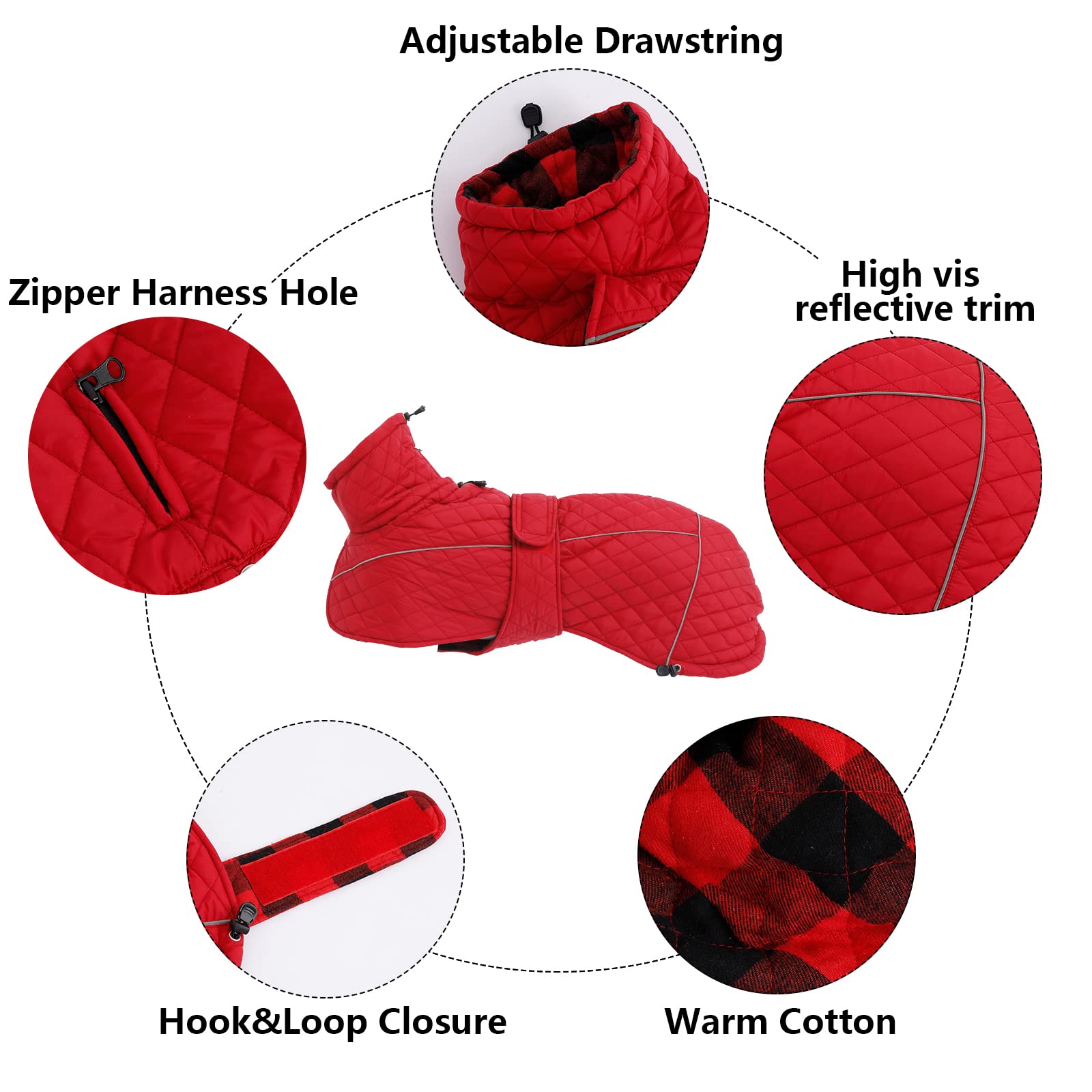 Morezi Whippet Coat with reflective piping for visibility at dusk