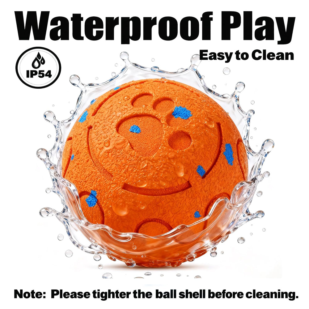 morhandisn dog-ball-holiday-gift makes active play easier during festive gatherings