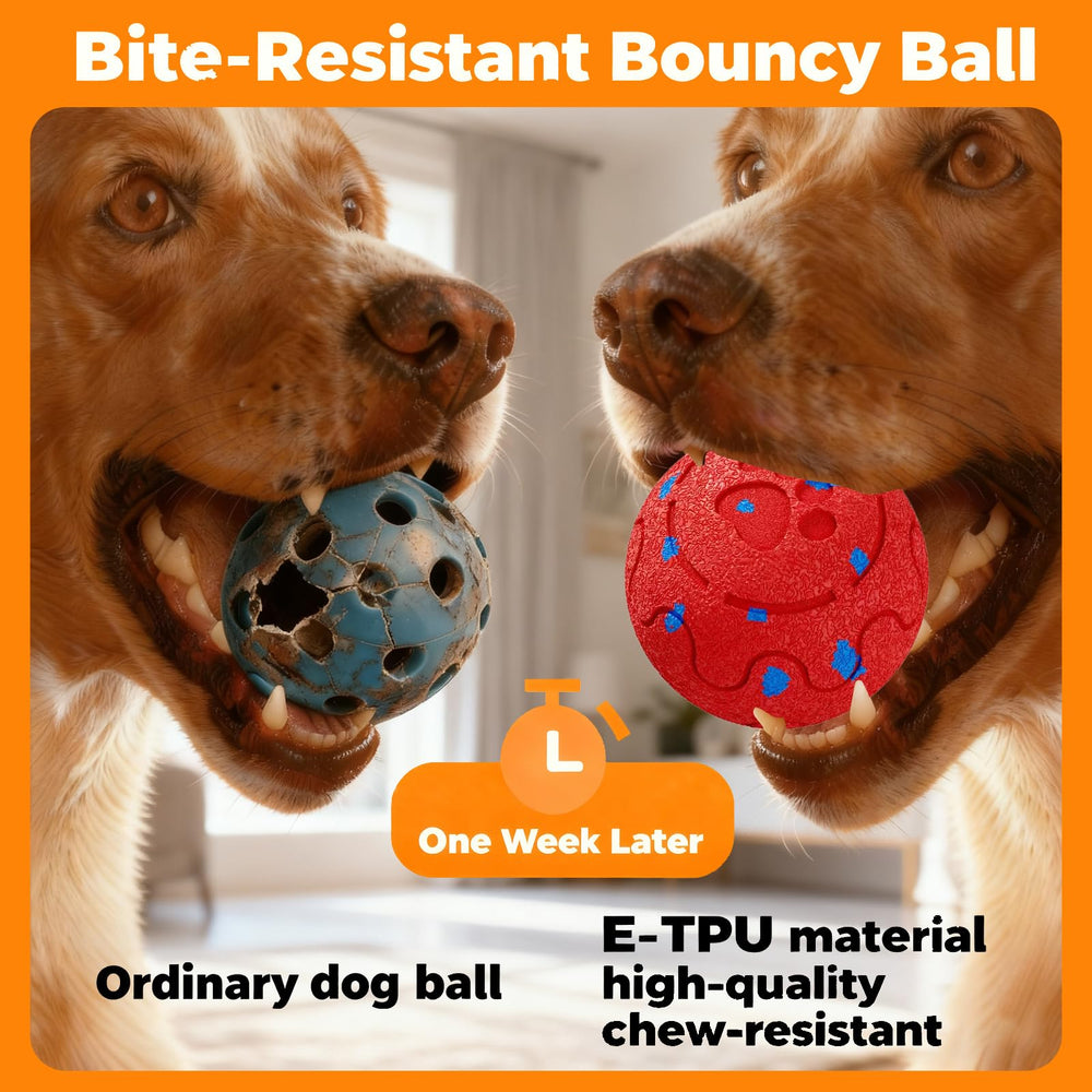 morhandisn dog ball IP54 waterproof design withstands splashes and rain.