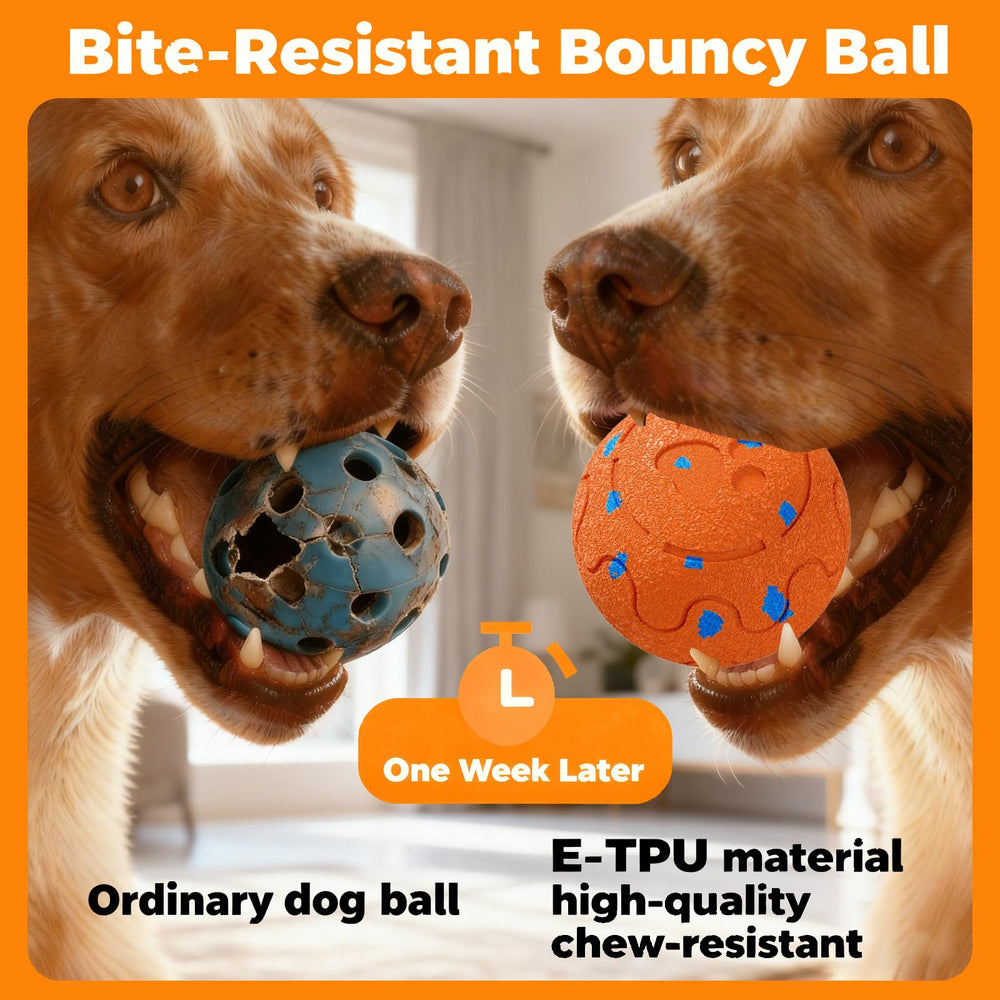 morhandisn dog-ball-ip54-waterproof stands up to rain, dew, and splashes