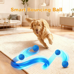 morhandisn dog balls spin roll action showing unpredictable motion to spark chase instincts