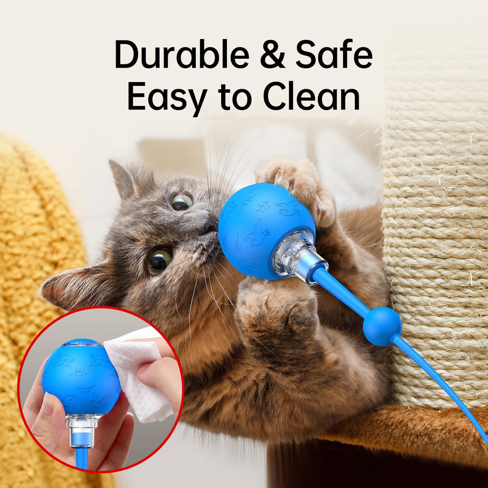 morhandisn interactive cat ball durable shell survives rough play