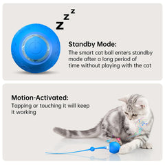 morhandisn interactive cat ball three-motions blue design keeps cats curious