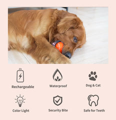 morhandisn interactive dog ball motion sensor in action triggers response from dogs.