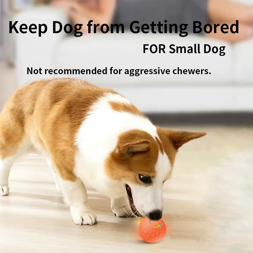 morhandisn smart-dog-ball indoor-outdoor-use versatile for indoors and outdoors.