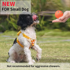 morhandisn smart-dog-ball led-lights attract dogs for nighttime fun.