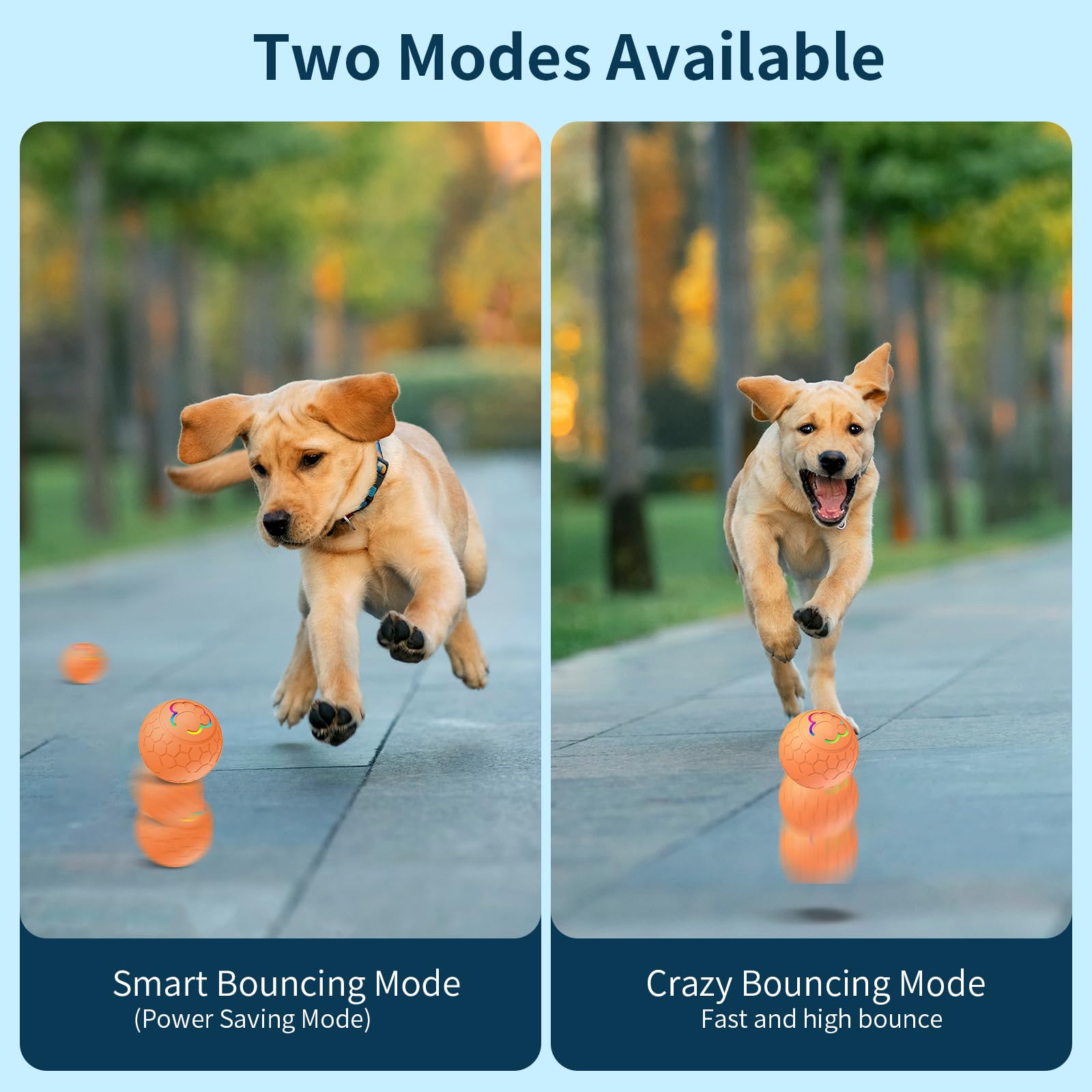 morhandisn smart-dog-ball orange-color high visibility during play.