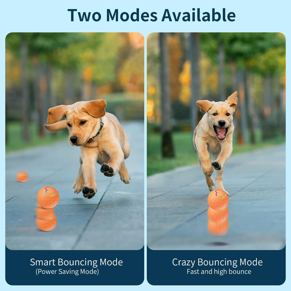 morhandisn smart-dog-ball orange-color high visibility during play.