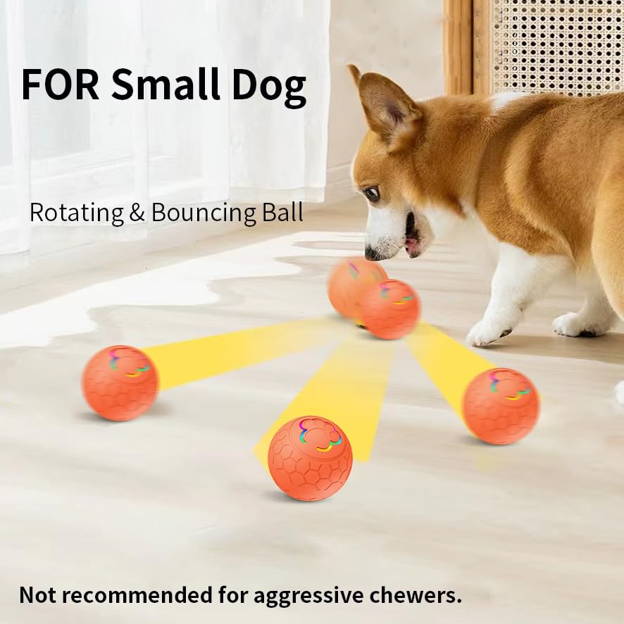 morhandisn smart-dog-ball rotating-motion keeps small dogs entertained during active play.