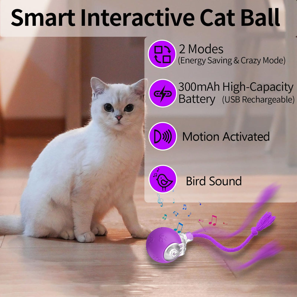 Morhandisn Speedy Tail 2.0 cat toy in action supports exercise and playtime.