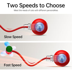 Morhandisn Speedy Tail 2.0 emits chirping bird sound to attract cats