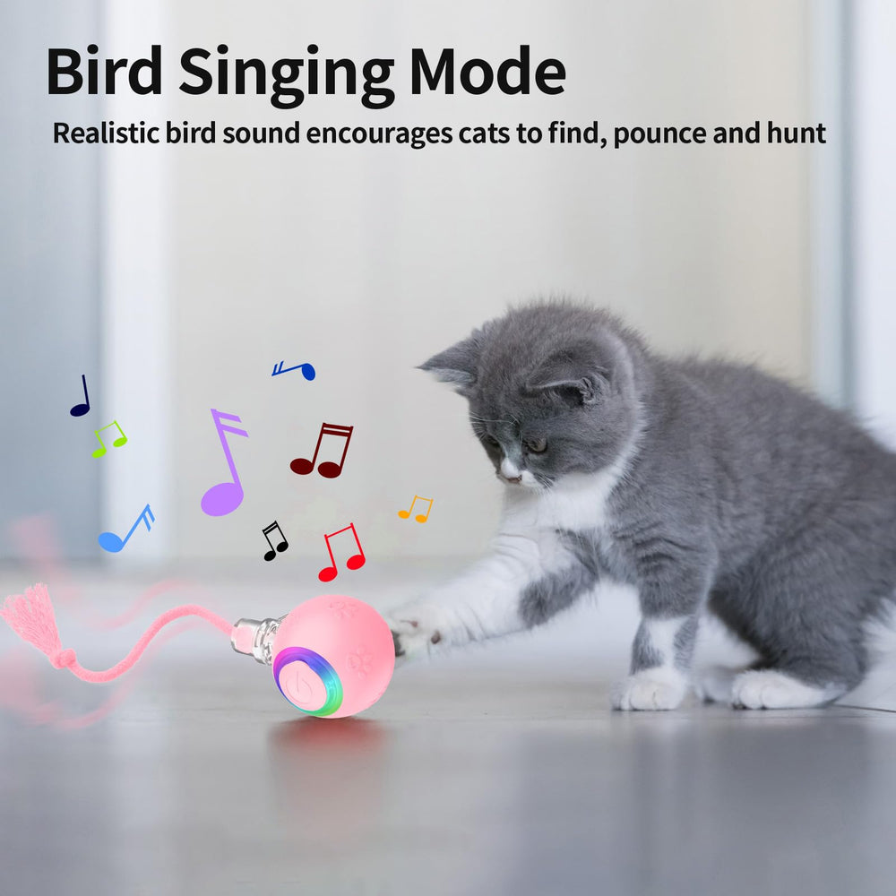 Morhandisn Speedy Tail 2.0 motion-sensor activation invites paw taps for wake-up fun.