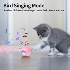 Morhandisn Speedy Tail 2.0 motion-sensor activation invites paw taps for wake-up fun.