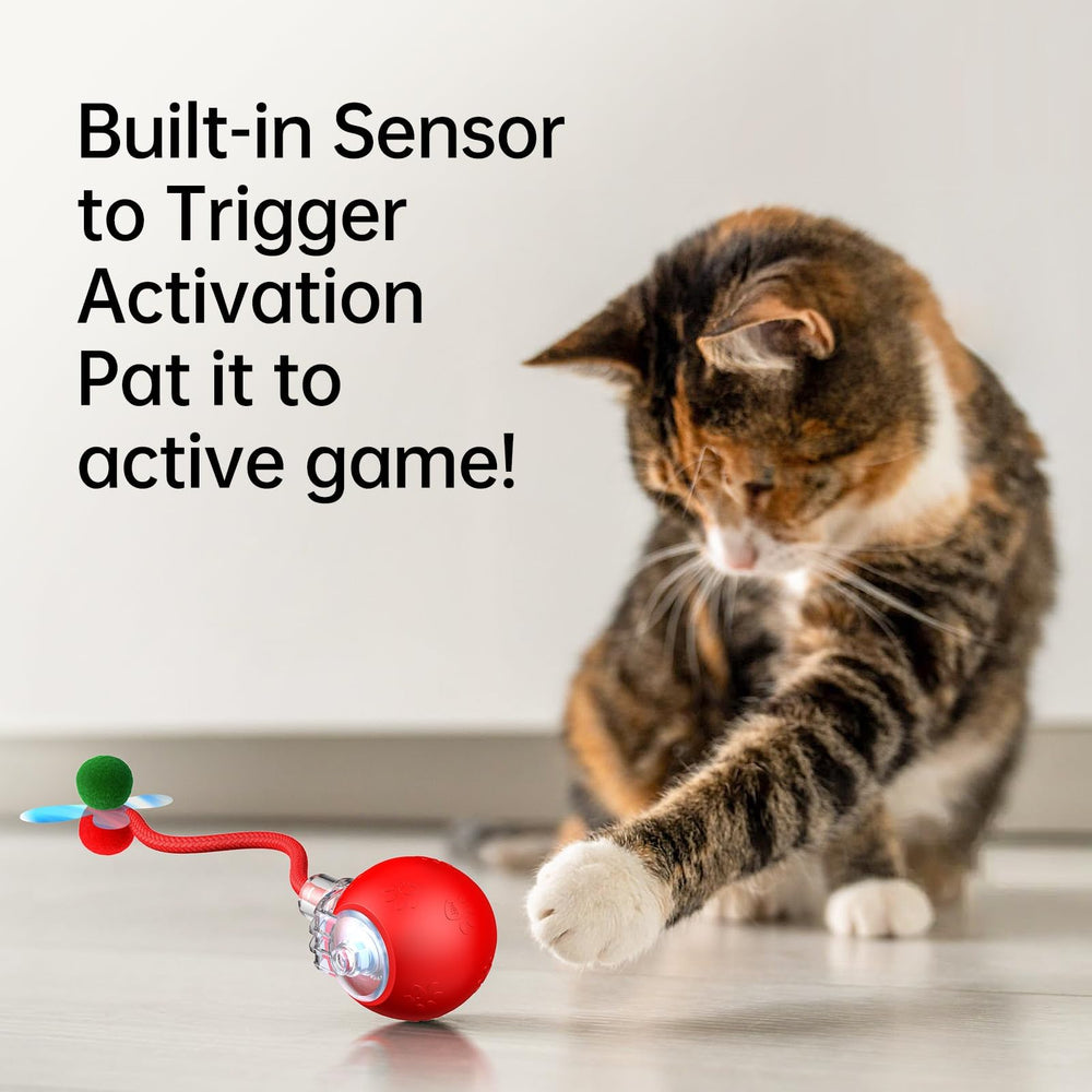 Morhandisn Speedy Tail 2.0 motion sensor activated during interactive play