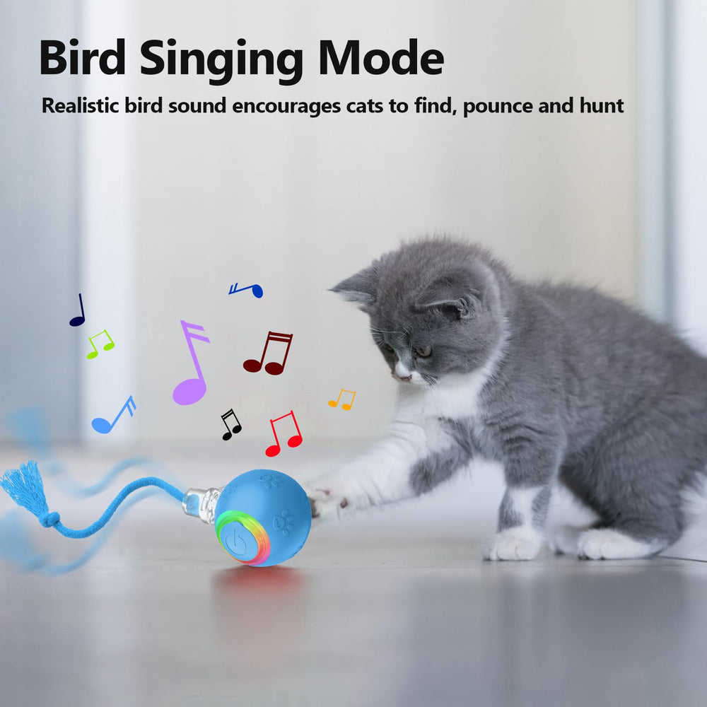 Morhandisn Speedy Tail 2.0 wake-sensor activation demonstrates motion-activated play to entice cats.