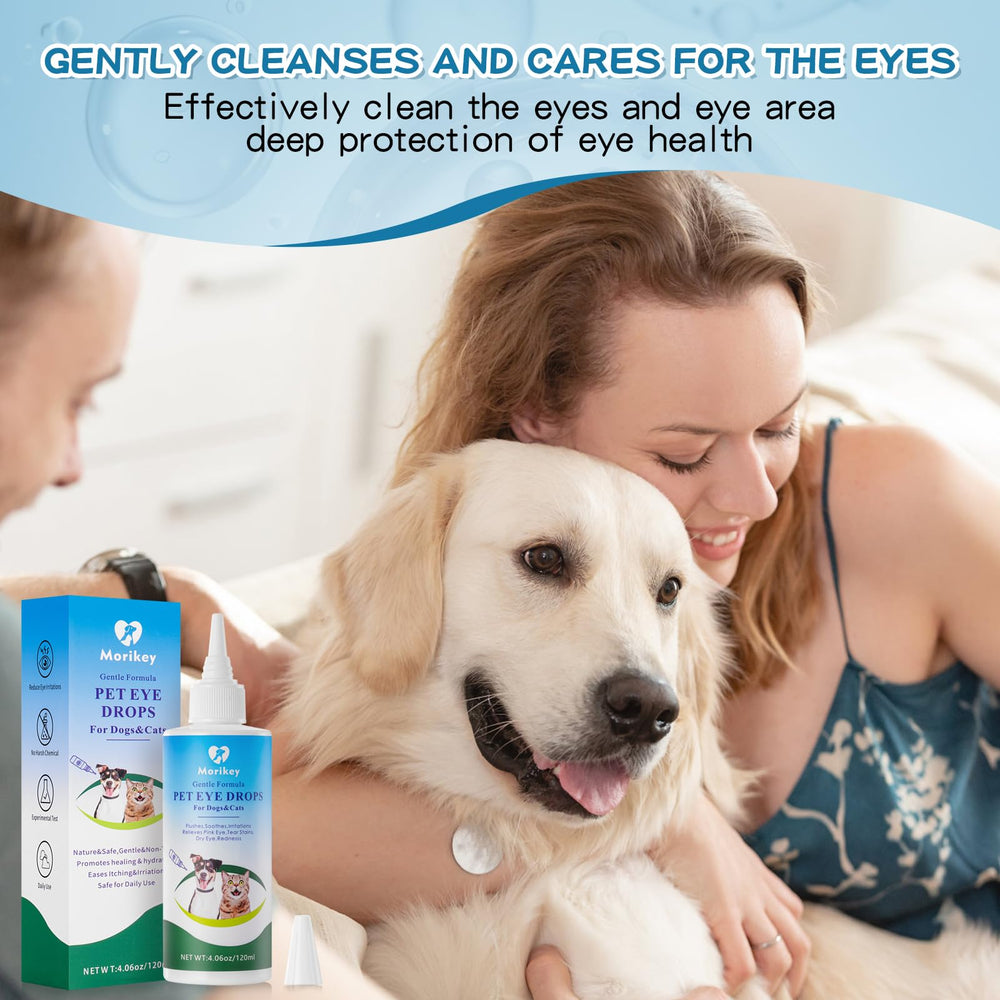 Daily care routine with Morikey Pet Eye Drops integrated into pet care.