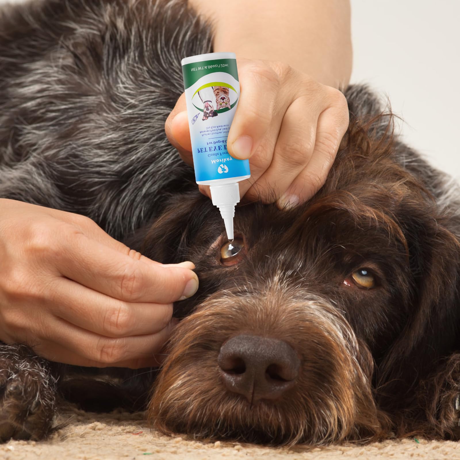 Morikey Eye Drops are safe for dogs and cats for regular use.
