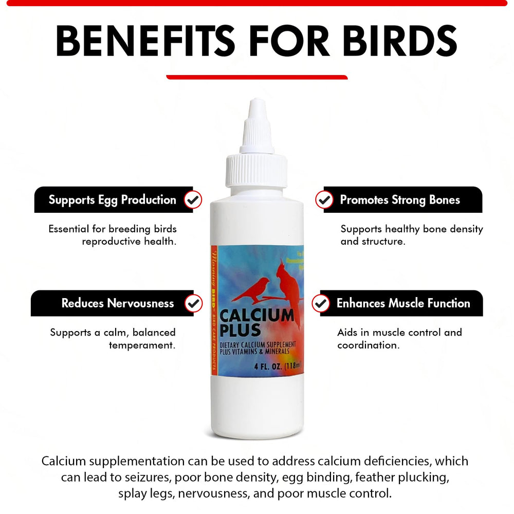 Morning Bird Calcium Plus Liquid hand-feeding into a bird's crop for direct delivery.