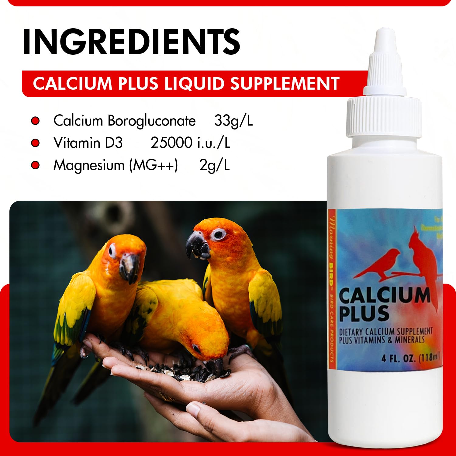 Morning Bird Calcium Plus Liquid ingredients label highlighting Vitamin D3 and Magnesium.