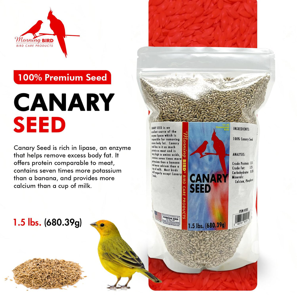 Morning Bird Canary Seed energy boost image highlights daily vitality for birds