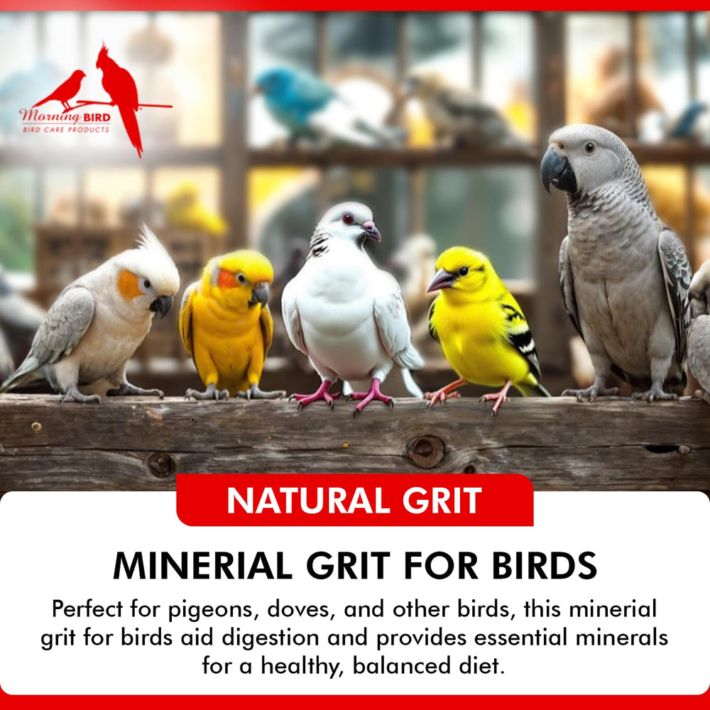 Morning Bird Pigeon Grit easily digestible texture suitable for all species.