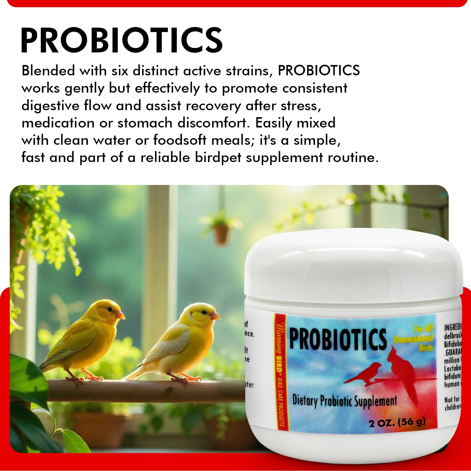 Morning Bird Probiotics dissolving in water shows quick mix into hydration.