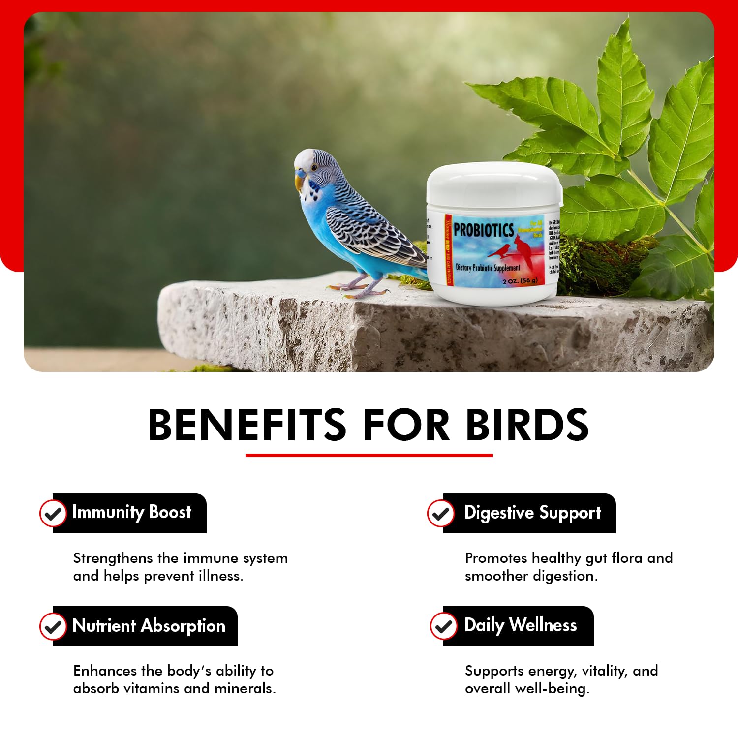 Morning Bird Probiotics scoop-measuring for precise daily dosing by caretakers.