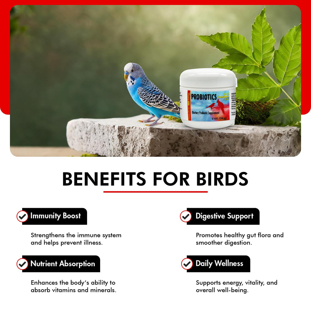 Morning Bird Probiotics scoop-measuring for precise daily dosing by caretakers.