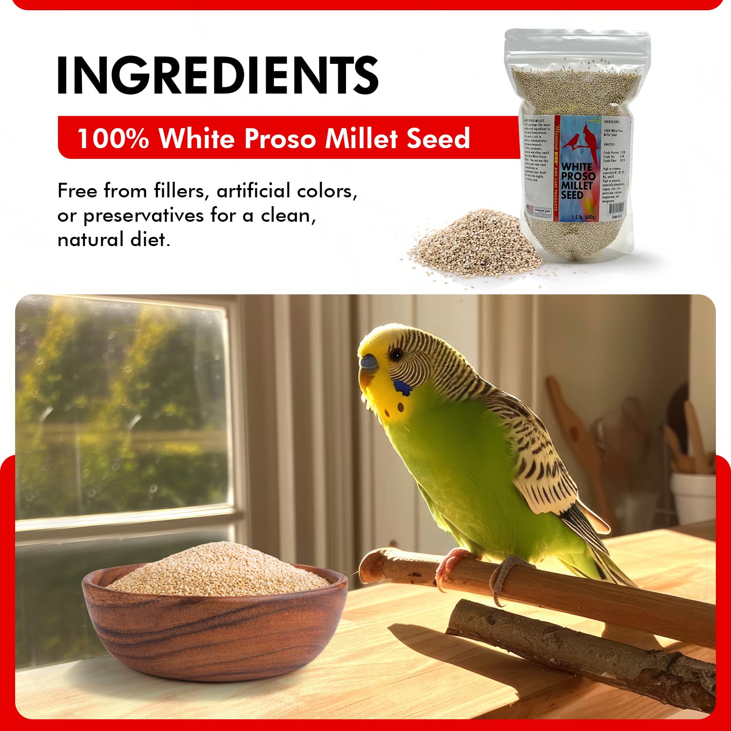 Morning Bird White Proso Millet seed closeup—crisp, pale grains ideal for seed-eating birds.