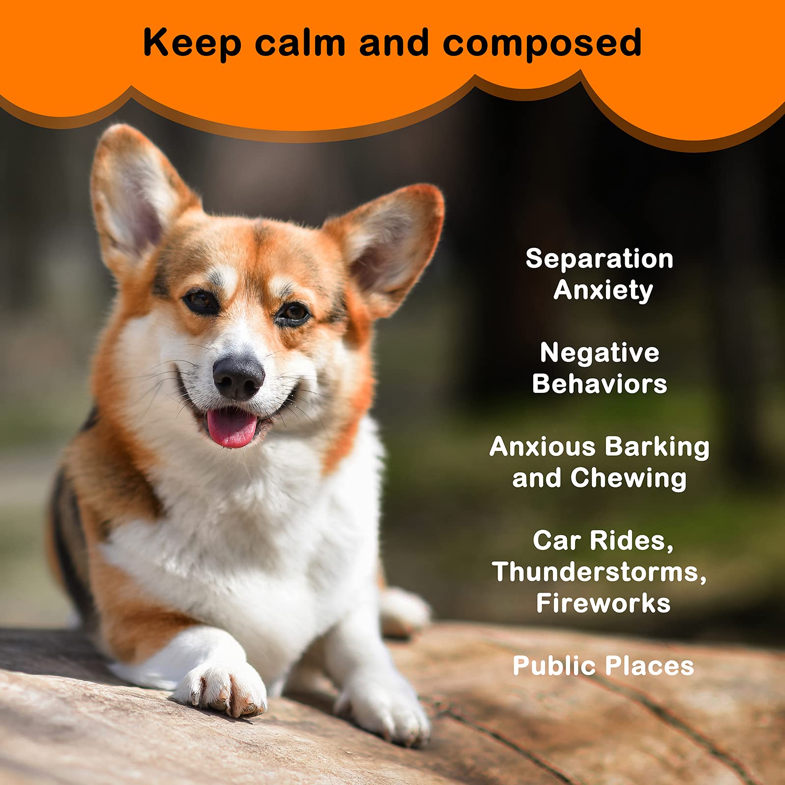 Moropaky Puppy Heartbeat Toy machine-washable heart removed for easy cleaning