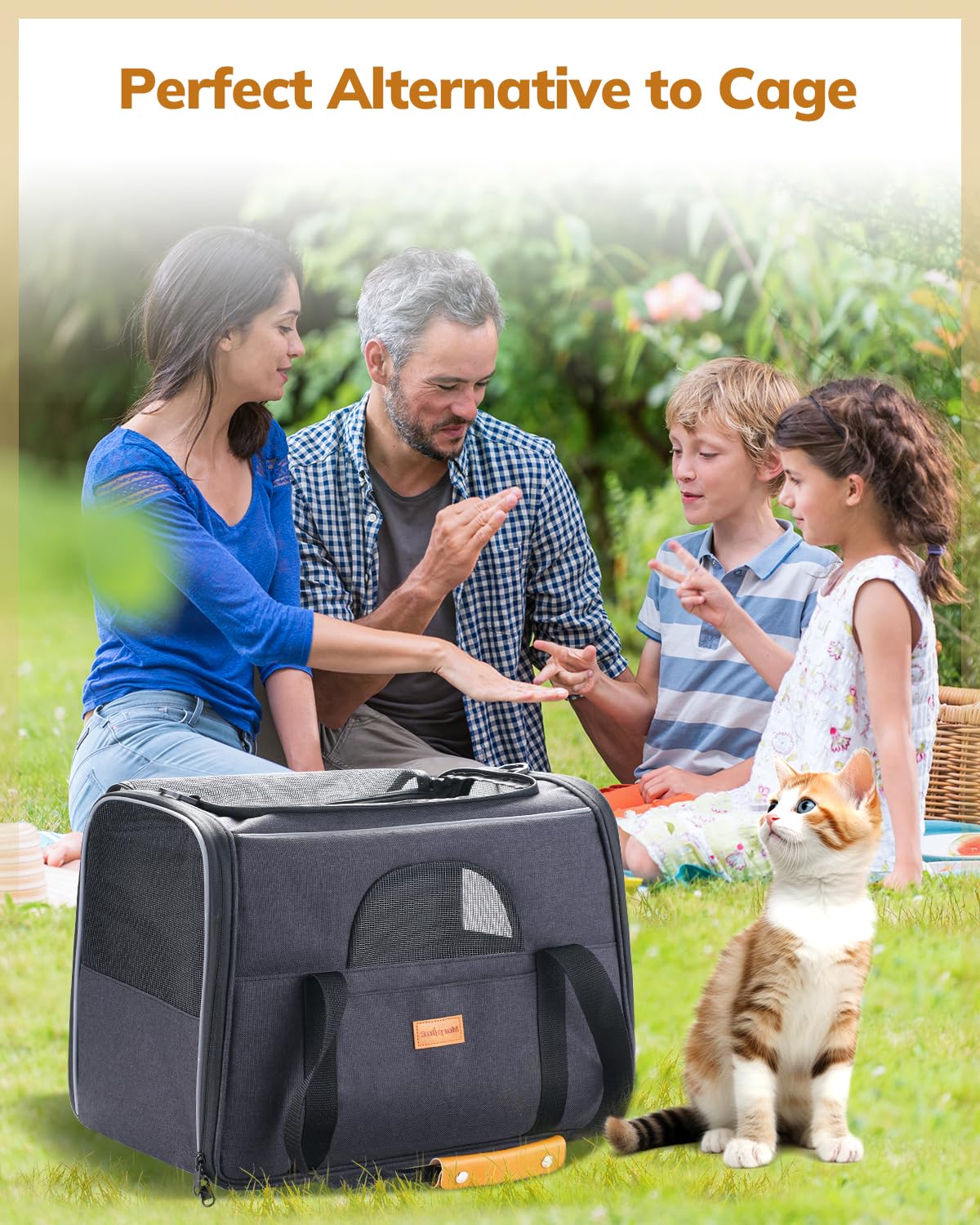 Morpilot Cat Carrier collapsible design for compact storage.
