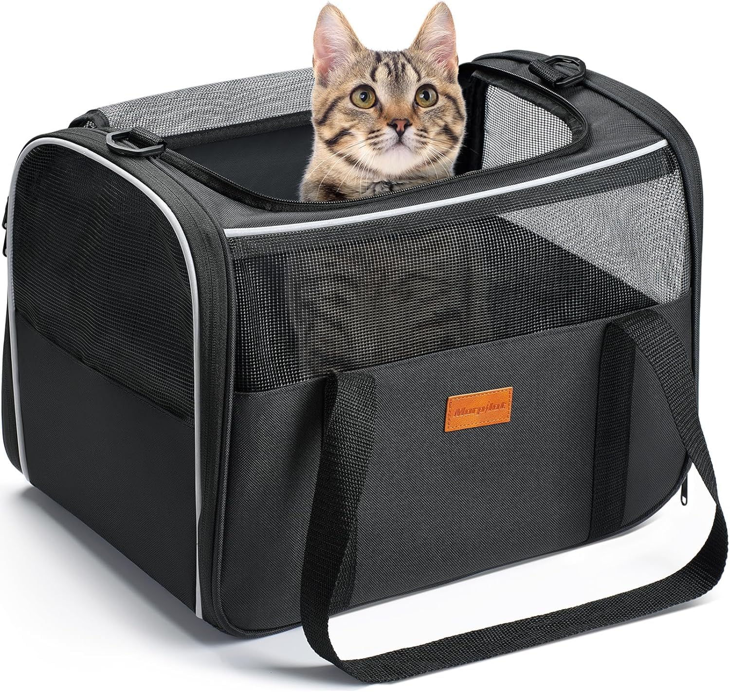 Morpilot Cat Carrier Soft demonstrates ample space for relaxation during travel