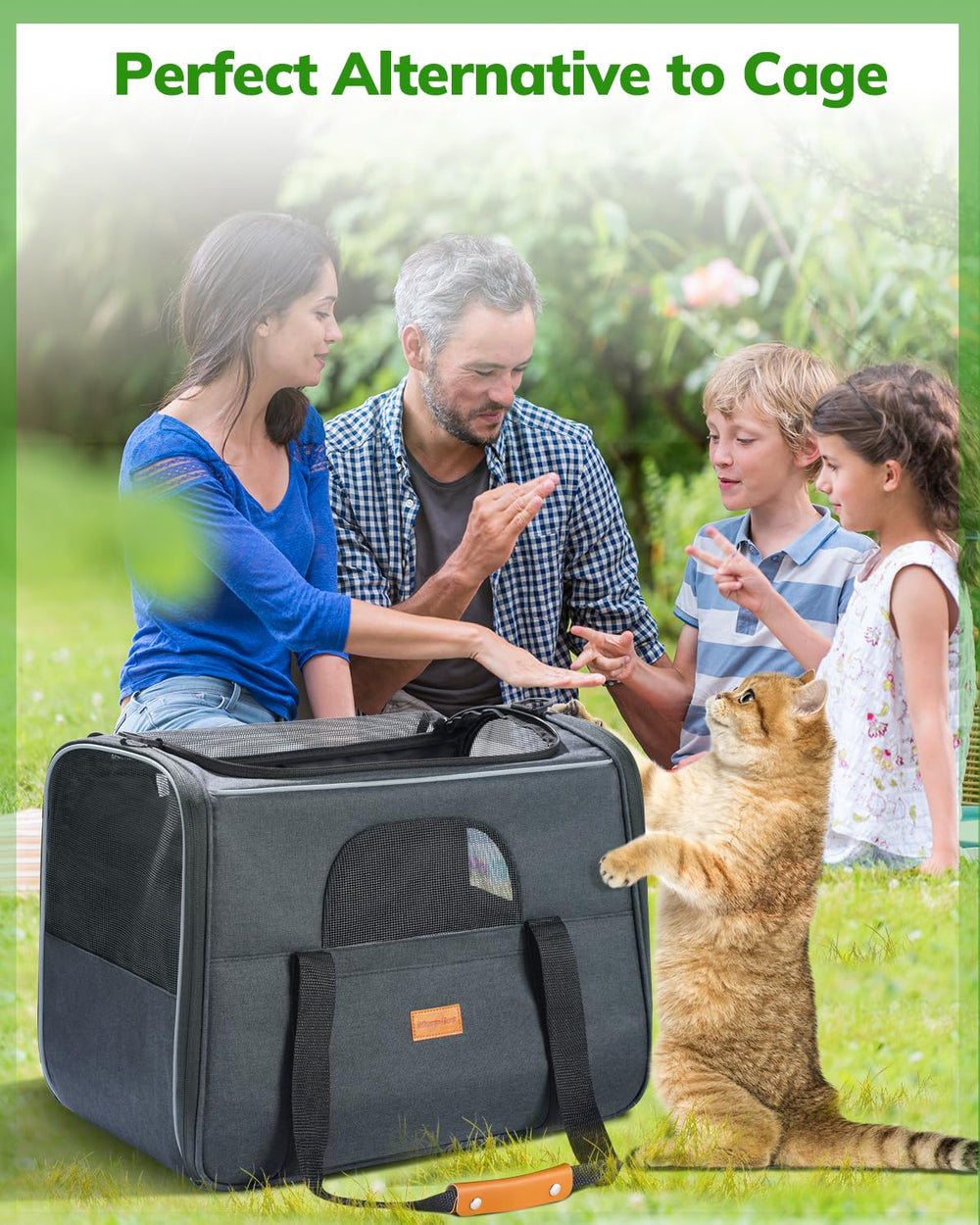 Morpilot pet travel carrier bag in-use scenario on car train for easy travel