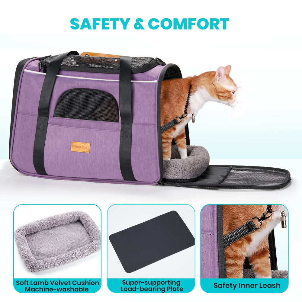 Morpilot removable-washable-cushion improves cleanliness after travel