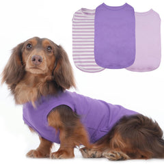 MORVIGIVE 3-pack purple striped dog t-shirt for small dogs, stylish and breathable.
